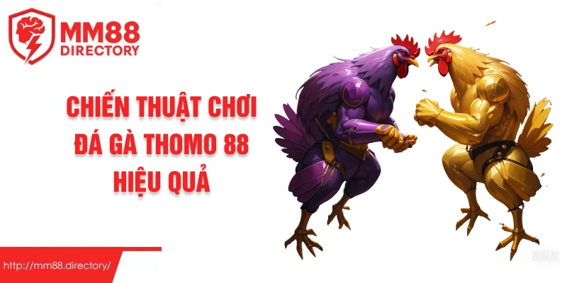 Chiến thuật chơi đá gà thomo 88 hiệu quả