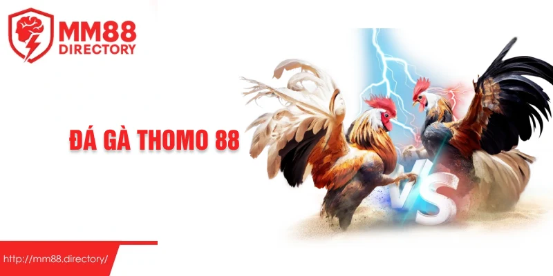 đá gà thomo 88